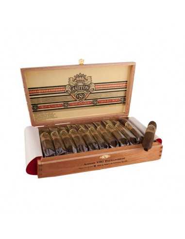 Ashton VSG Enchantment (22)