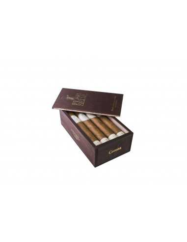 Flor de Selva Corona (7) Flor de Selva Corona (7)