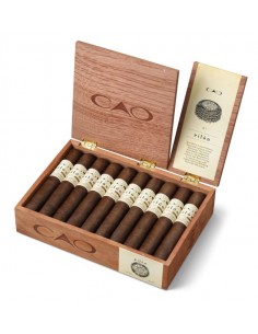 CAO Pilon Toro (20)