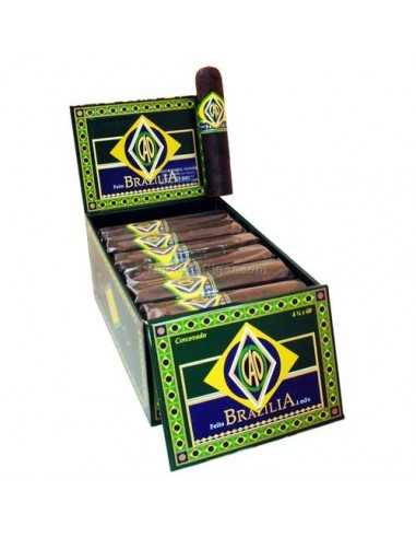 CAO Brazilia Corcovado (20)