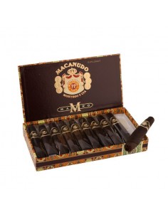 Macanudo Maduro Diplomat (10)