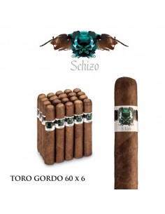Schizo Toro Gordo /...