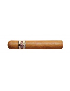 Quorum Double Gordo Shade (10)