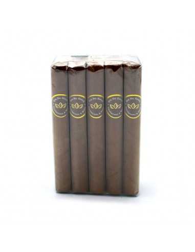 Oro De Esteli Corona (10)
