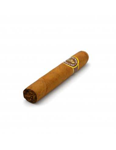 Oro De Esteli Robusto (10) Oro De Esteli Robusto (10)