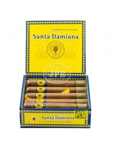 Santa Damiana Corona Glass (10) Santa Damiana Corona Glass (10)
