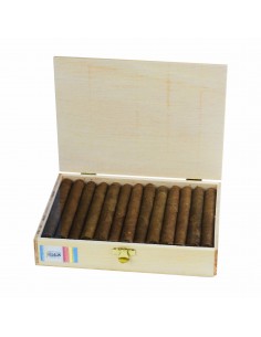 Canaritos Senoritas Caja (25)