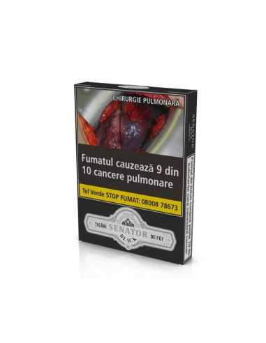 Senator Black Cigars (6) Senator Black Cigars (6)