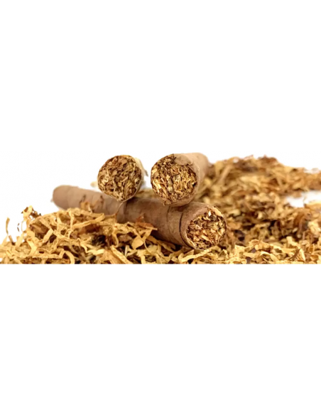 Senator White Cigars (25)