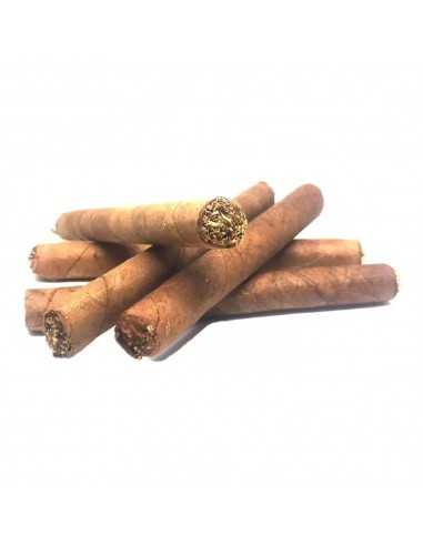 Senator White Cigars (25) Senator White Cigars (25)
