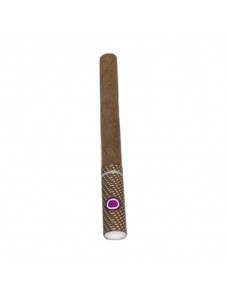 Senator Filter Wilde Ice Click Cigarillos (17)