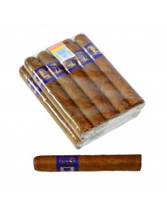 Inca Secret Blend Robusto Blue (10)