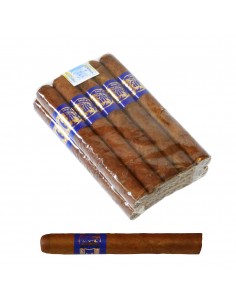 Inca Secret Blend Panatella Blue (10)