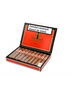 Licenciados Robusto (10)