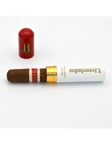 Licenciados Short Churchill Tubos (10)