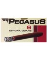 Pegasus